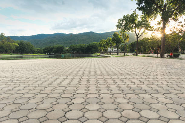 Best Commercial Driveway Pavers  in Apopka, FL