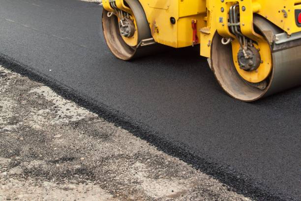 Best Concrete Paver Driveway  in Apopka, FL